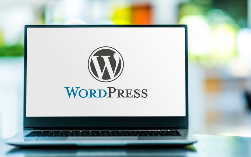 Blog - TrillSites.com 5 Top Ways to Secure Your WordPress Website